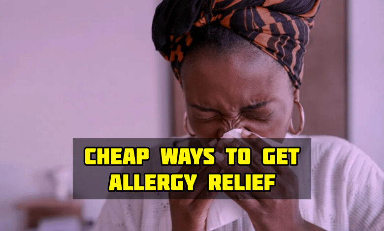Cheap Ways to Get Allergy Relief