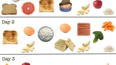 3 Day Diet Menu Lose To Weight