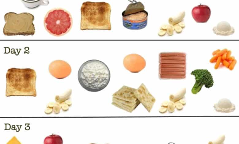 3 Day Diet Menu Lose To Weight