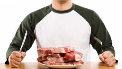 3 Why did humans begin to eat meat?